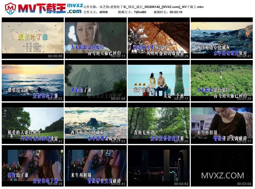 风芝韵-爱情给了谁_国语_流行_MD206142